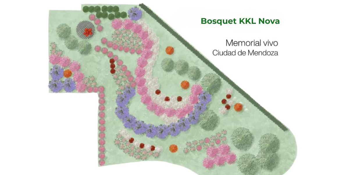 Bosquet KKL Nova